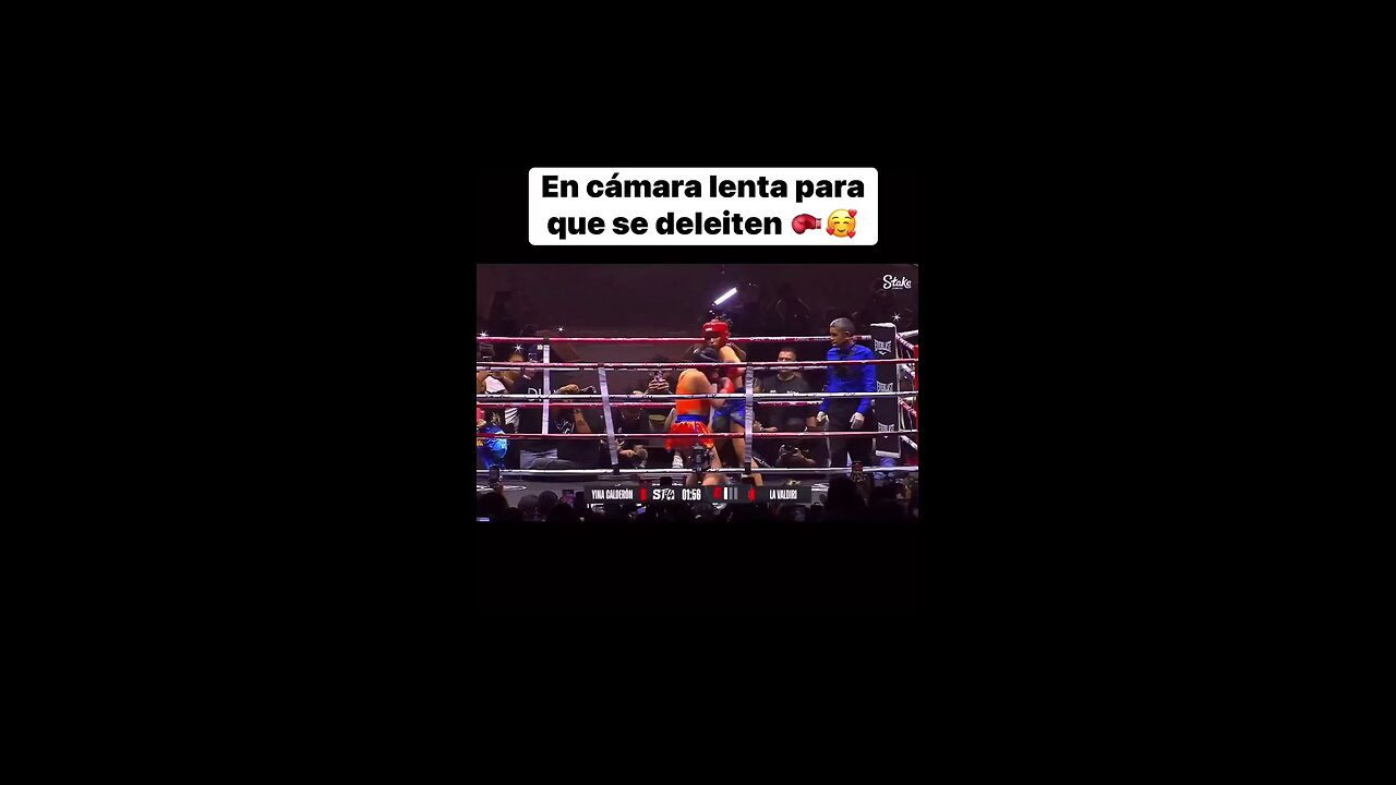 Pelea Valdiri vs Yina Calderon