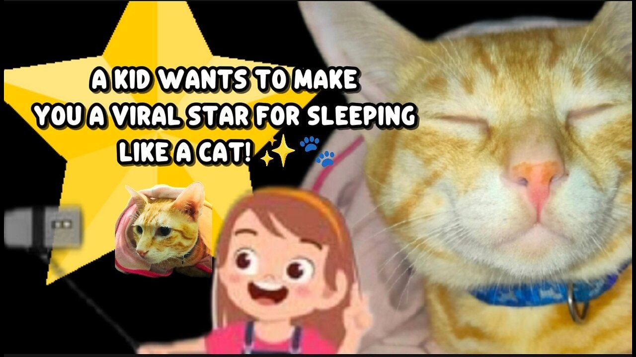 Sleepy cat - You Just Want to Sleep, But a Kid Won’t Let You! 🥲😹🐾