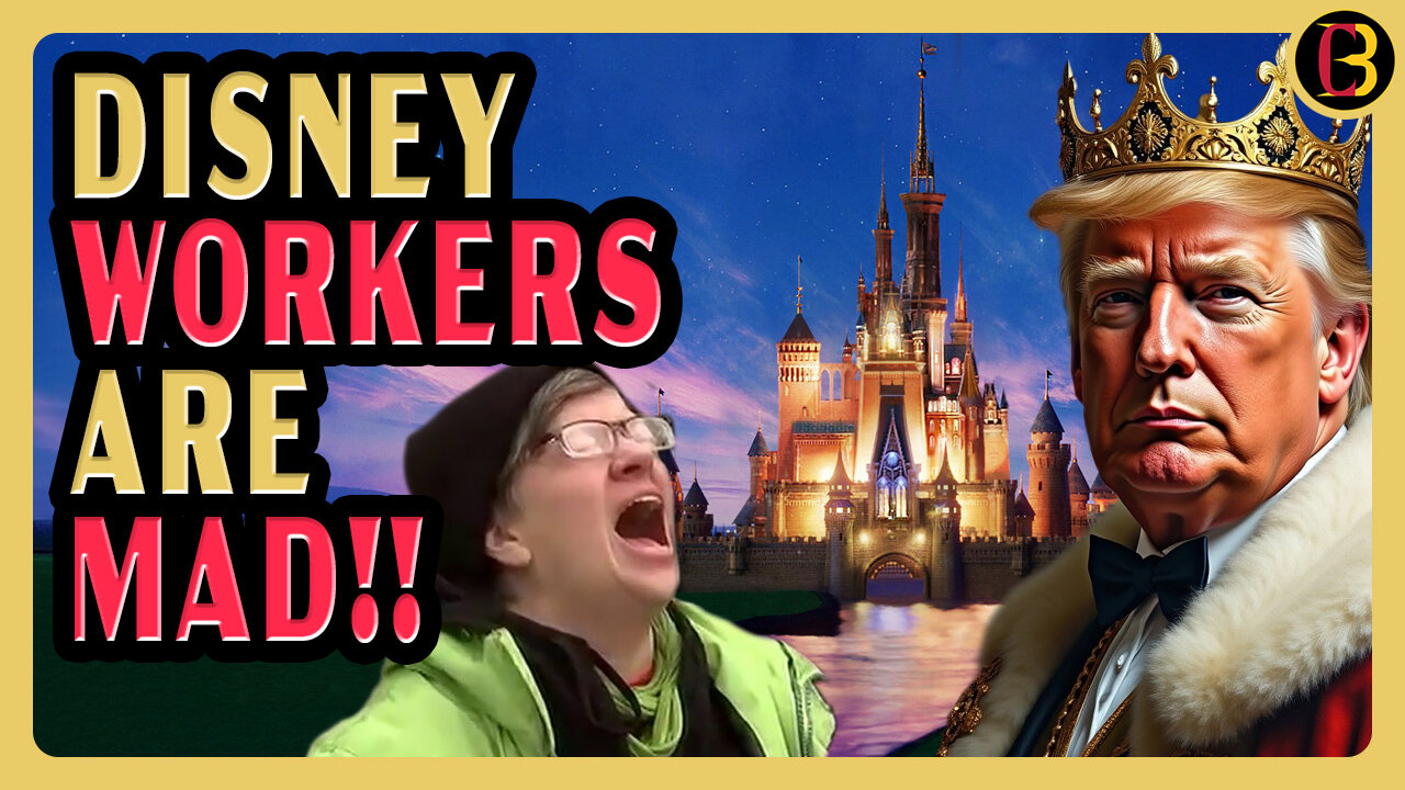 DISNEY Employees Melt Down over Company Rolling Back DEI