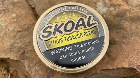 Skoal Citrus Pouches Dip Review