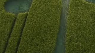 🌌👽 The Truth is Out There: A Message from the Universe | TheTruthAbove