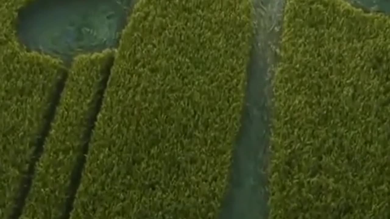 🌌👽 The Truth is Out There: A Message from the Universe | TheTruthAbove