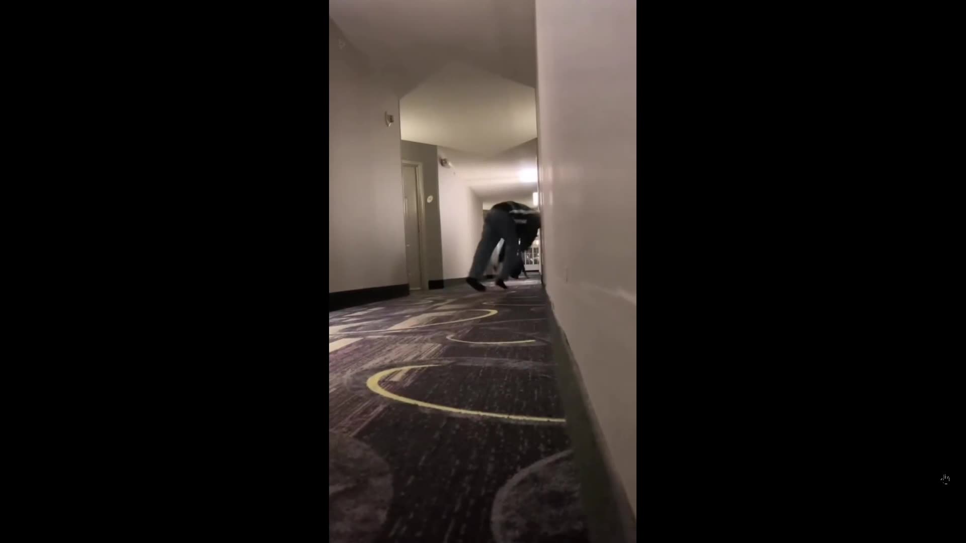 These horror flicks would not work in Texas or Florida, theyd be shot, full carry