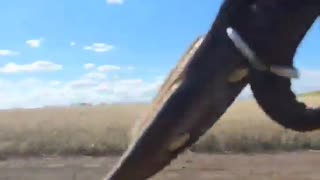 🕊️😂 Ukraine Russia War | Russian Soldiers Miss FPV Drone, Get Hit Instead | RCF