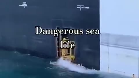 Beware: The World's Most Dangerous Sea Creatures 😱