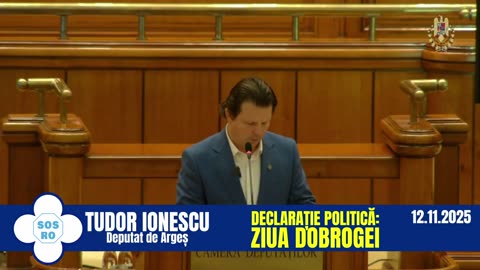 Declarație politică: Ziua Dobrogei