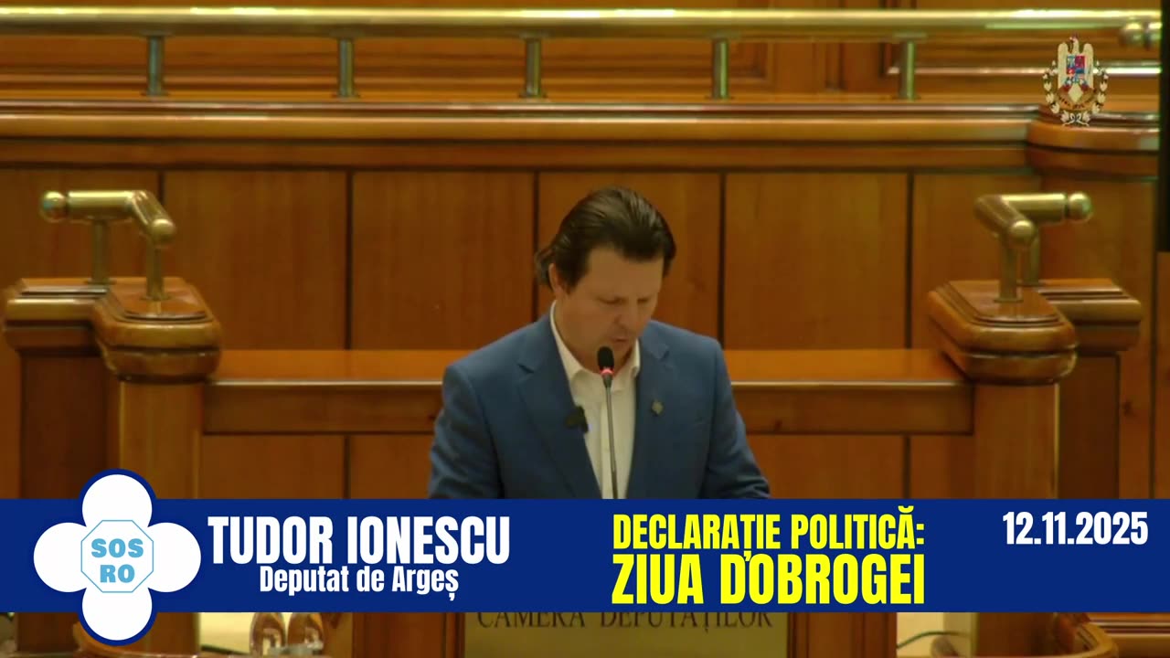 Declarație politică: Ziua Dobrogei