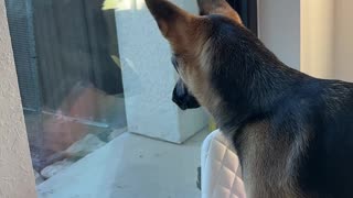 Which sound is your favorite?