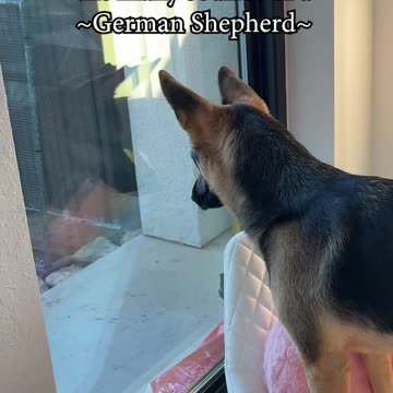 Which sound is your favorite?