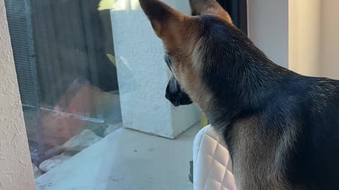 Which sound is your favorite?