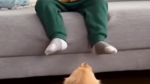 Cute Baby Playing with Animals | Adorable Baby and Pet Moments 2025