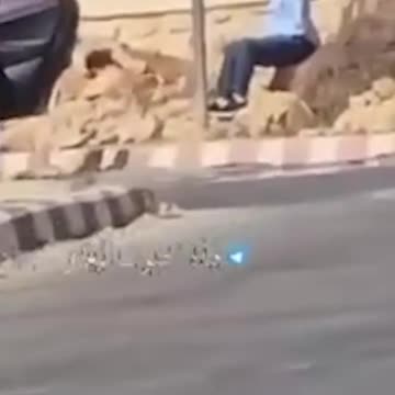 Israeli forces detained Bassam Abu Assaf, principal of Al-Mughayyir Boys' School