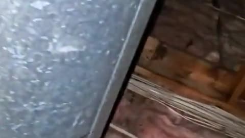 😱😨 The Scariest Ghost Encounter I've Ever Seen! Chicken Skin | TheHauntingHour