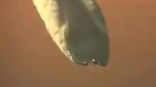 PRAWDA - Chemikalia w tych substancjach są bardzo niezdrowe i wręcz trujące, ale jaki jest ich prawdziwy cel?