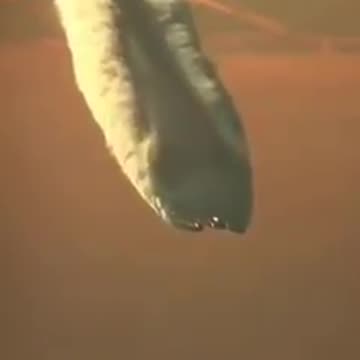 PRAWDA - Chemikalia w tych substancjach są bardzo niezdrowe i wręcz trujące, ale jaki jest ich prawdziwy cel?