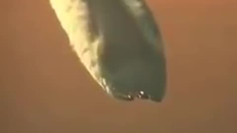 PRAWDA - Chemikalia w tych substancjach są bardzo niezdrowe i wręcz trujące, ale jaki jest ich prawdziwy cel?