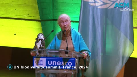 Beloved conservationist Dr Jane Goodall dies, aged 91.