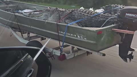 Just Another Day in Florida