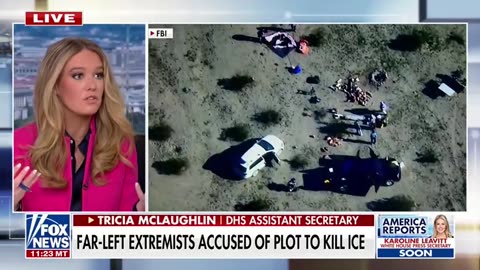 DHS Asst Sec: Lunatics Are Emboldened By Radical Politicians