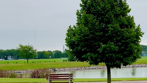 Relaxing by the Pond in Gaylord, Mn.