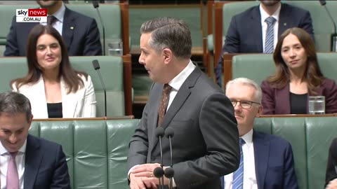 Health Minister lashes out at Sussan Ley over Medicare bulk-billing