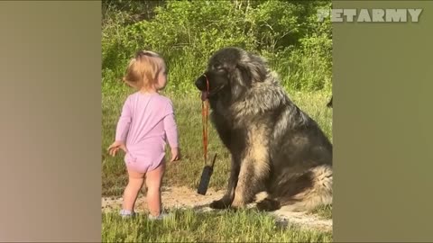 Watch 30 Mins of Babies & Dogs Sharing Pure Love and Laughs 🐶❤️