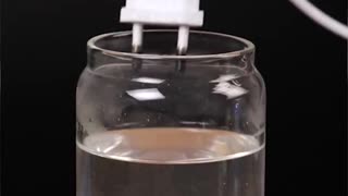 What happens when electricity meets saltwater ⚡🌊