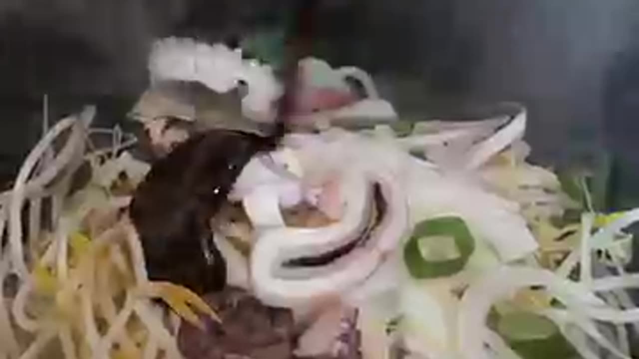 So Addictive?! Korea’s Most Famous Crab Seafood Ramen! 🦀🔥 #shorts