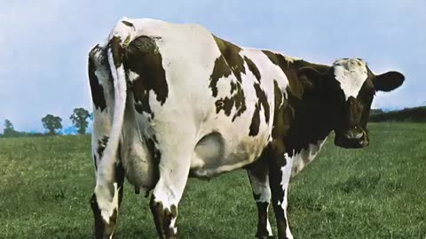 Pink Floyd,Atom Heart Mother Suite