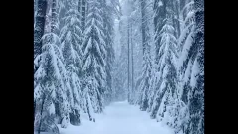 Snow Blizzard Sounds Heavy Wind | Winter Storm Trees & Icy Road Driving | White Noise Sleep Ambience