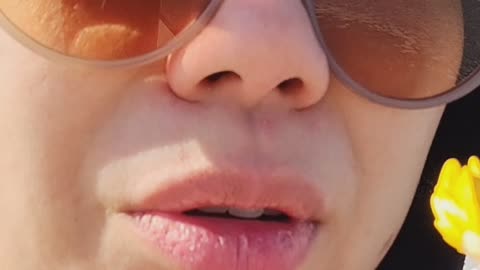 307 Omni Portugal Diaries