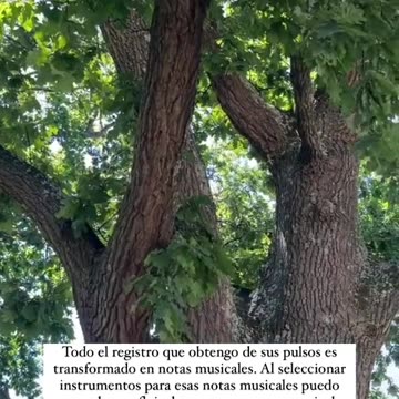 El sonido de la Naturaleza