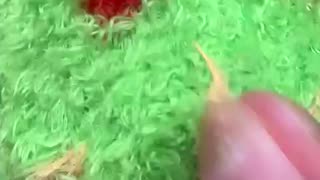 Breaking: Did you expect the spooky ending!? #asmr #satisfying
