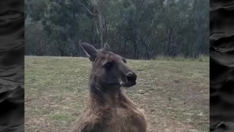 😱👻 The Scariest Evidence of Paranormal Activity I've Ever Seen! Creepy Paranormal Videos | TheHaunti