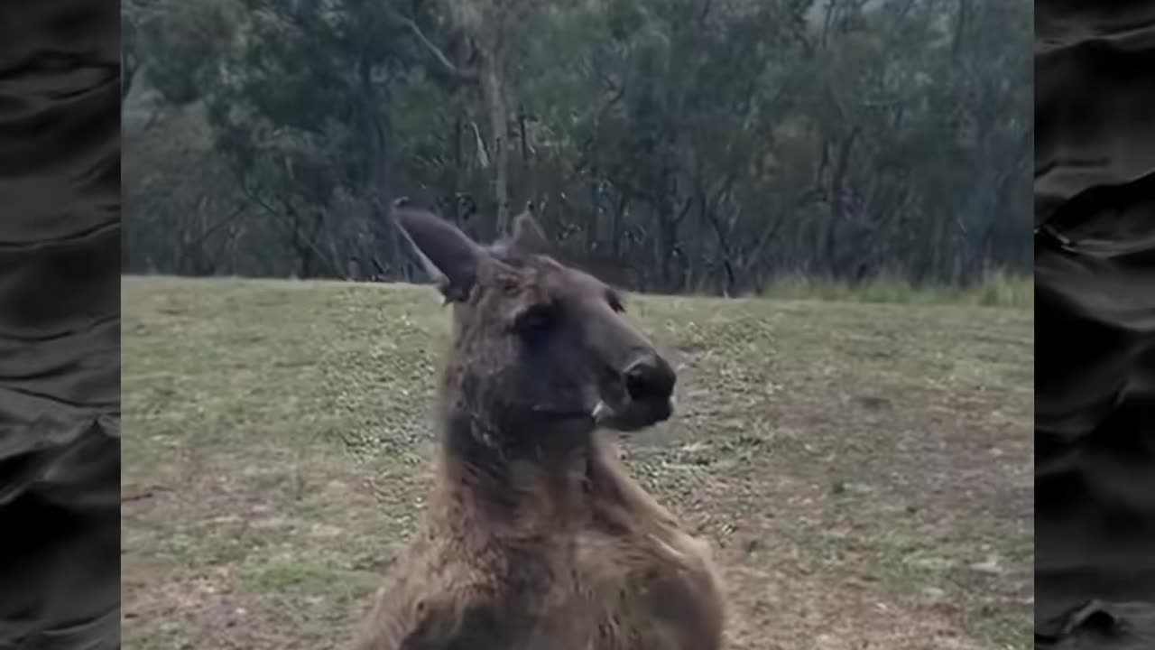 😱👻 The Scariest Evidence of Paranormal Activity I've Ever Seen! Creepy Paranormal Videos | TheHaunti