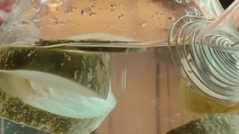 Alkaline water is a life saver & it’s easy to make