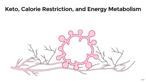 Keto, Calorie Restriction, and Energy Metabolism