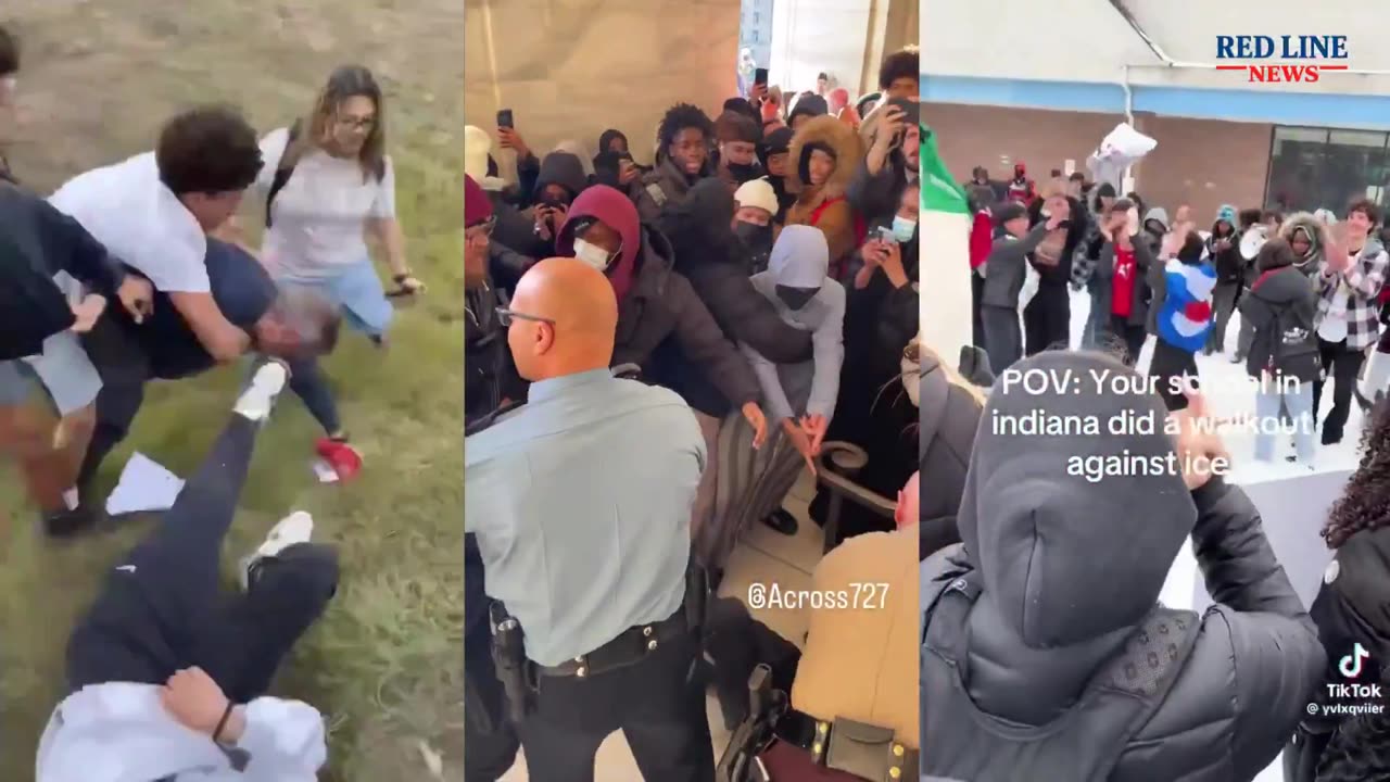 Blacks protest ICE, destroy everything, fight