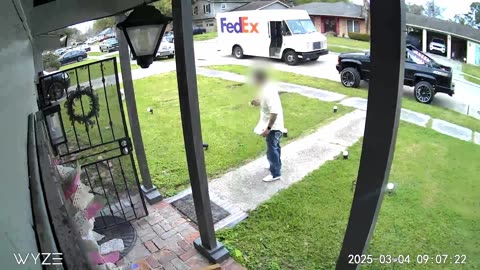 Delivery Driver Startled by Pocket Bully
