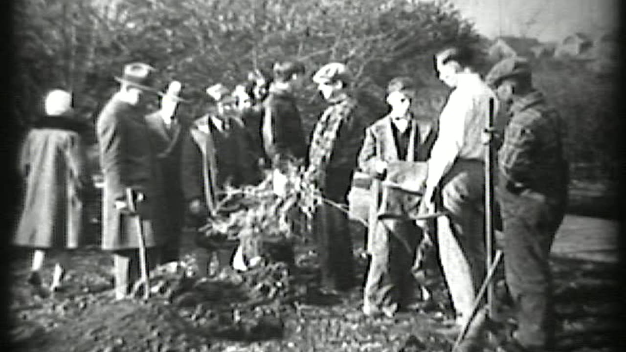 Trees, Planting and Care of