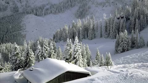 Alan Watt (March 1, 2015) Scientific Tyranny: Just Adapt, Now You're Trapped!