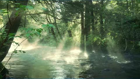 tabela de metas do bitcoin.mp4