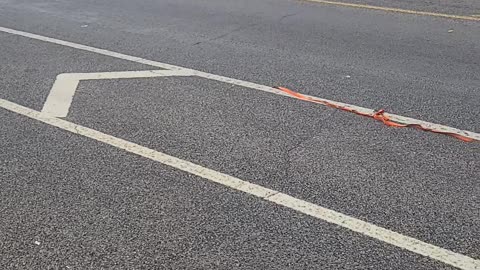 FESTIVAL💪🏾🔵