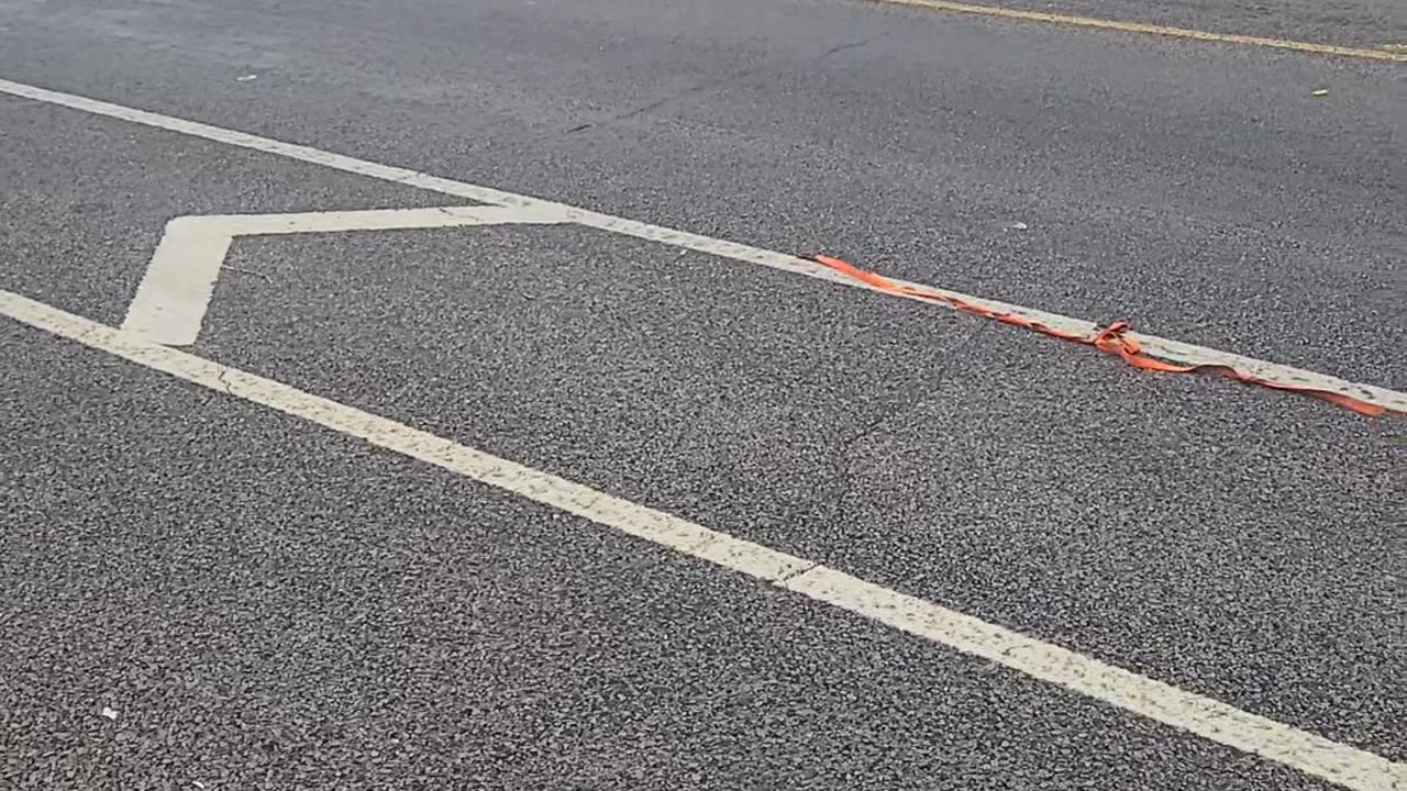 FESTIVAL💪🏾🔵