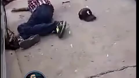 Funny Videos Make You Laugh