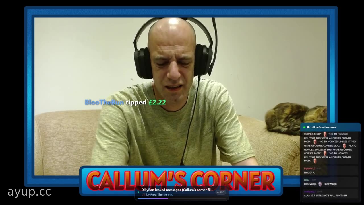 ayupcc - Callum's Corner - 11/10/25 - I Am Alive Quick Catch Up Plus Kittens