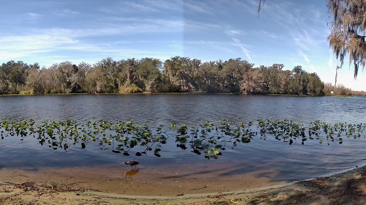 Riverview Time-Lapse: St. John’s Tranquil Tides (Jan 20, 2026)
