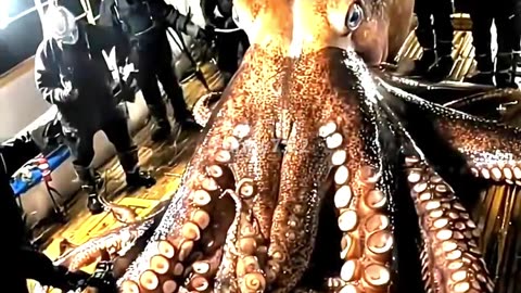 Power Of Transformation ☠️