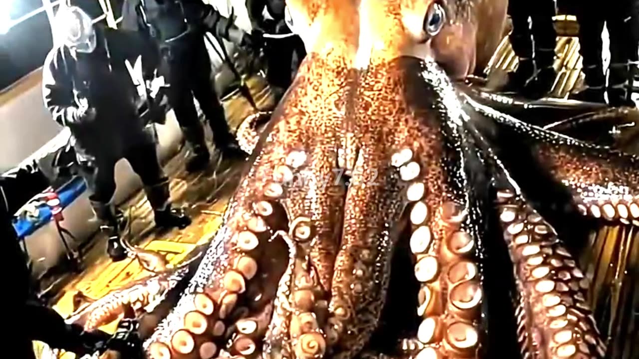 Power Of Transformation ☠️