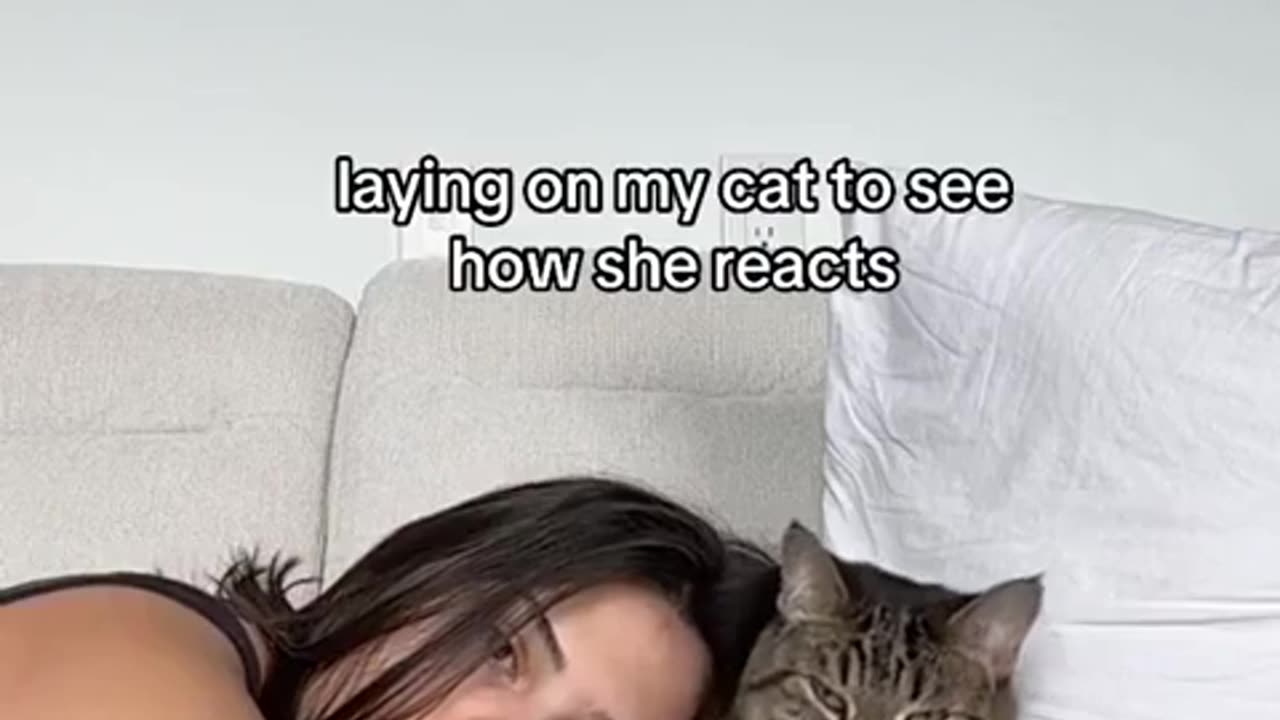 😂 You Won't Believe This Cat's Reaction! | FunFM